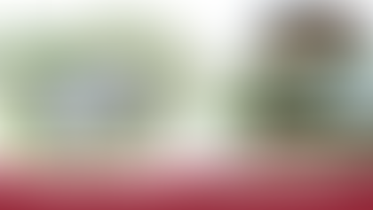 Buying a Home in Independence – Loganville, GA