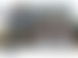 Like NEW 4/2.5 Brick Front Home – Lawrenceville, GA 30044 $250k