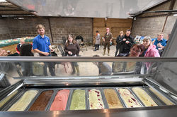 Ice cream tasting
