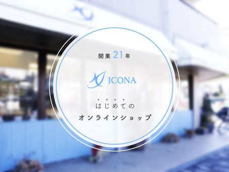 初のオンラインショップがオープン！