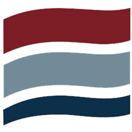 CSEG Logo 2025_edited.png