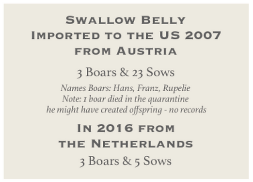 Swallow belly Imports to USA 2007 & 2016