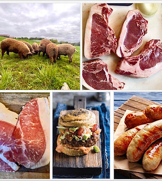 Betsy Lirakis Mangalitsa meat Vermont.JPEG