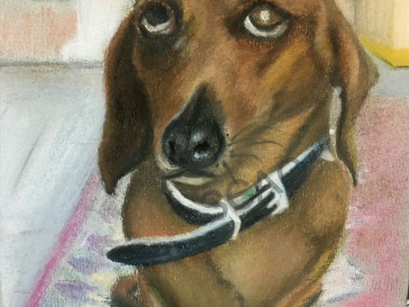 What's On - 18 August 22