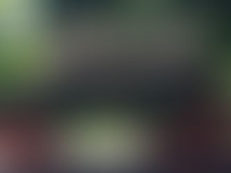 Tour and Tasting: Maker's Mark