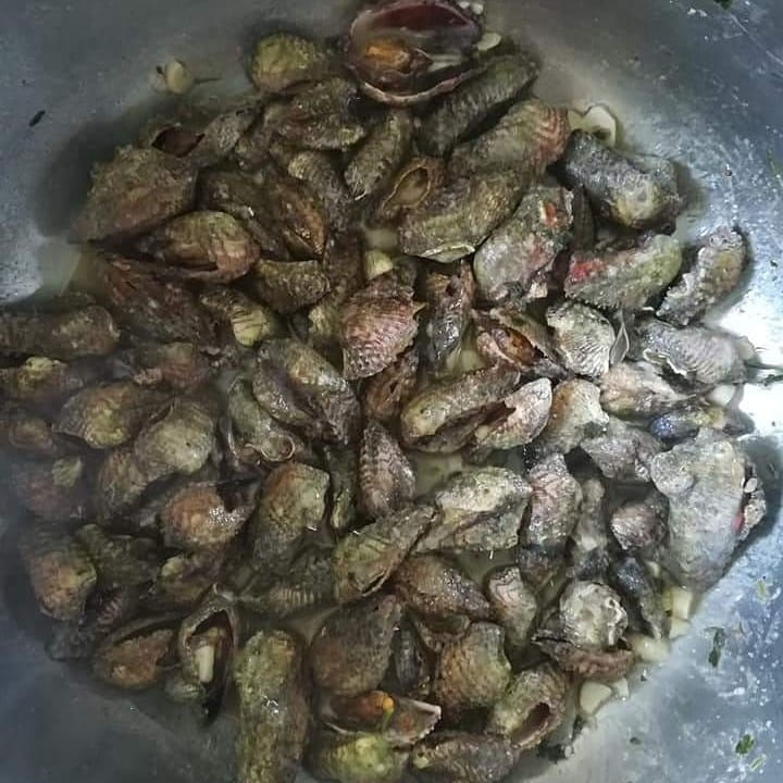 Thumbnail: Kunjke 7 kg