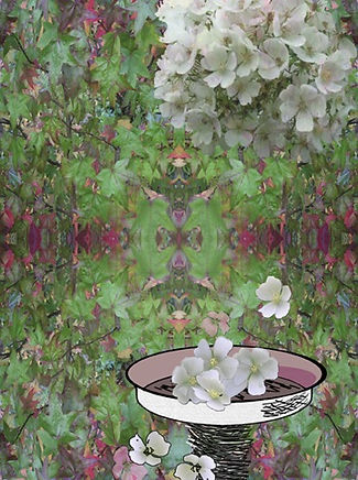 A drawn design print using a rose image