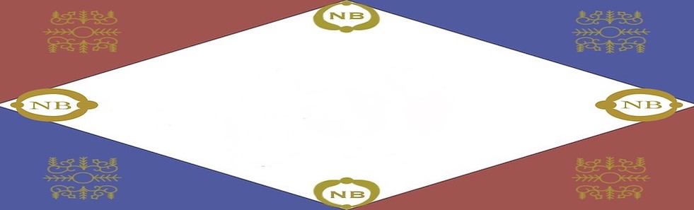 Flag skinny.jpg
