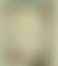 Cozy fantasy novel worth your time!