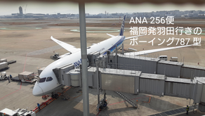 空輸によるご遺体搬送