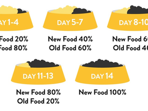 FOOD ALLERGIES IN DOGS: Elimination Diet Trials