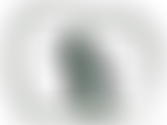 Signs and Symptoms of Ear Infections Your Pup's Ears