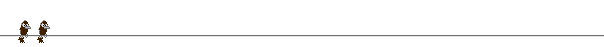 wb_line1.gif