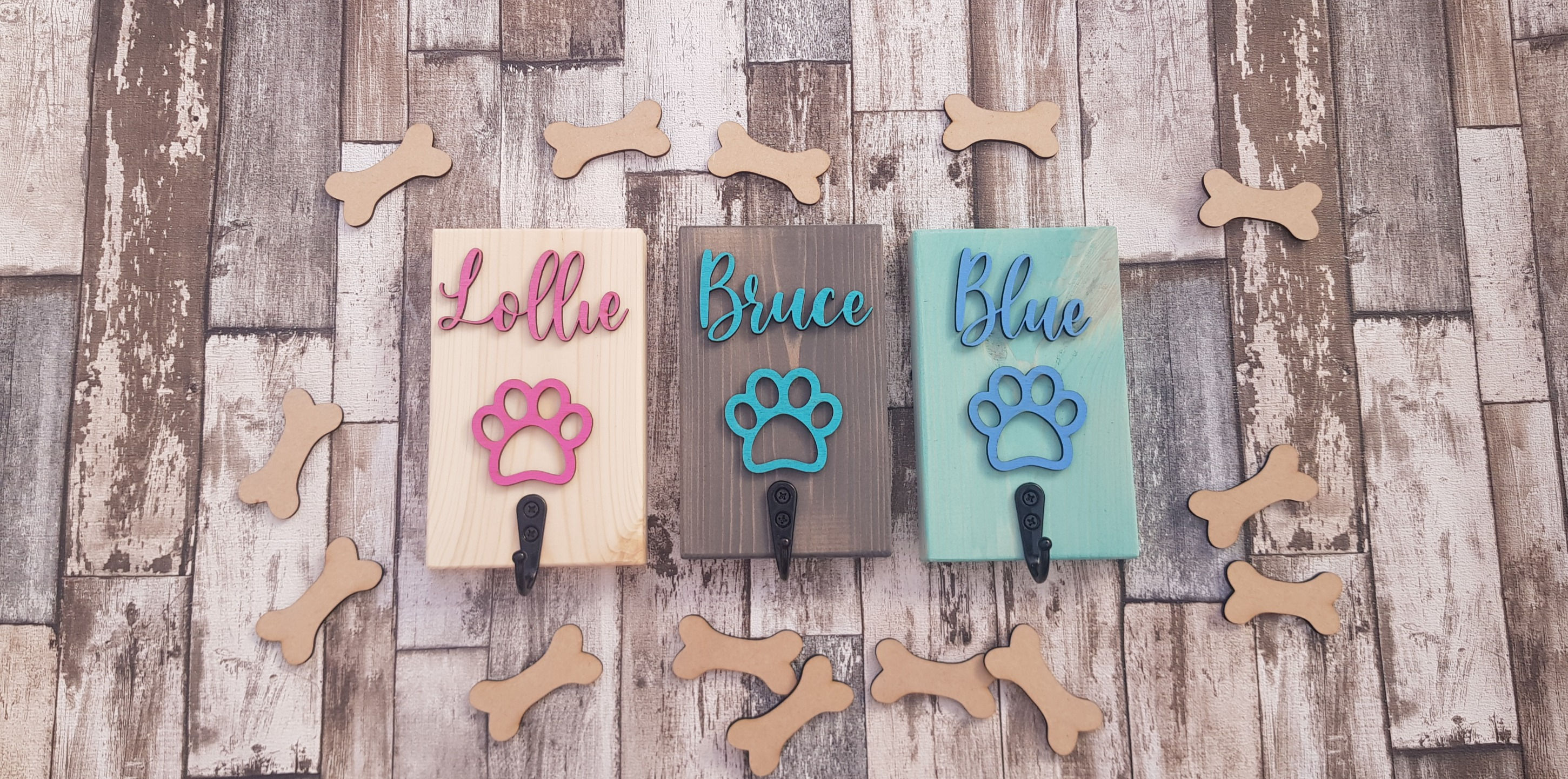 Dog lead leash hanger holder single hook