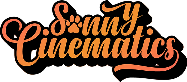 Sonny Cinematics Logo NO CLAPPER GRADIENT.png