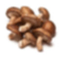 fresh-shiitake-mushroom-500x500