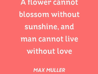 Wisdom Wednesday