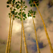IMG_2810.jpeg