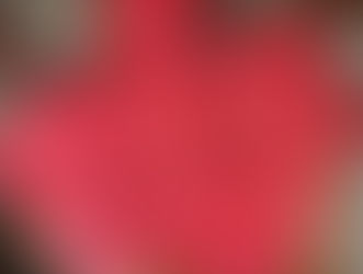 Standeven Fabric Vietnam