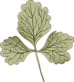 Botany                          