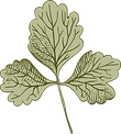 Botany