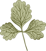 Botanik