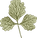 植物学                          