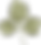 Botanik