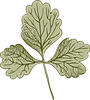 Botany