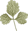 Botany