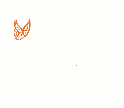 IMG_0391 2.gif