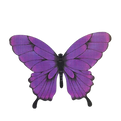 Butterfly_pages-to-jpg-0001-removebg-preview.png