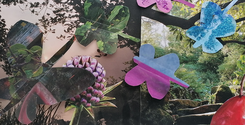 18 Butterfly Collage reshoot.jpg