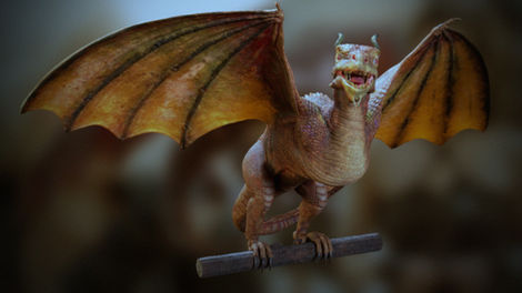 Baby Dragon Lord