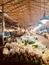 Tailandia: Bangkok e Koh Phangan