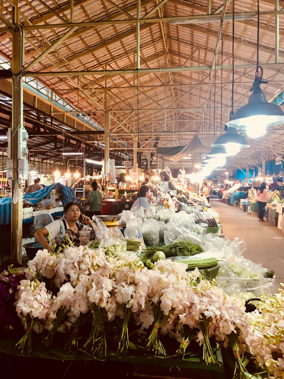 Tailandia: Bangkok e Koh Phangan