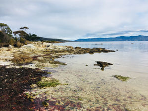 TASMANIA: i locali e la sua atmosfera speciale