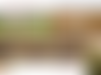 Questionnaire Soirée Agricultures