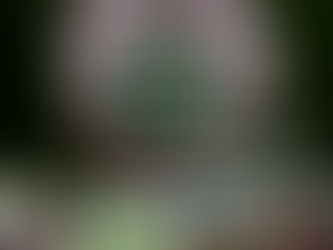 Conférence sur l'économie symbiotique