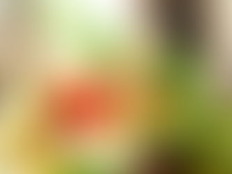 Une AMAP c'est quoi ?