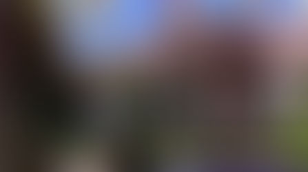 Bükki Nemzeti Park Igazgatóság működési területén