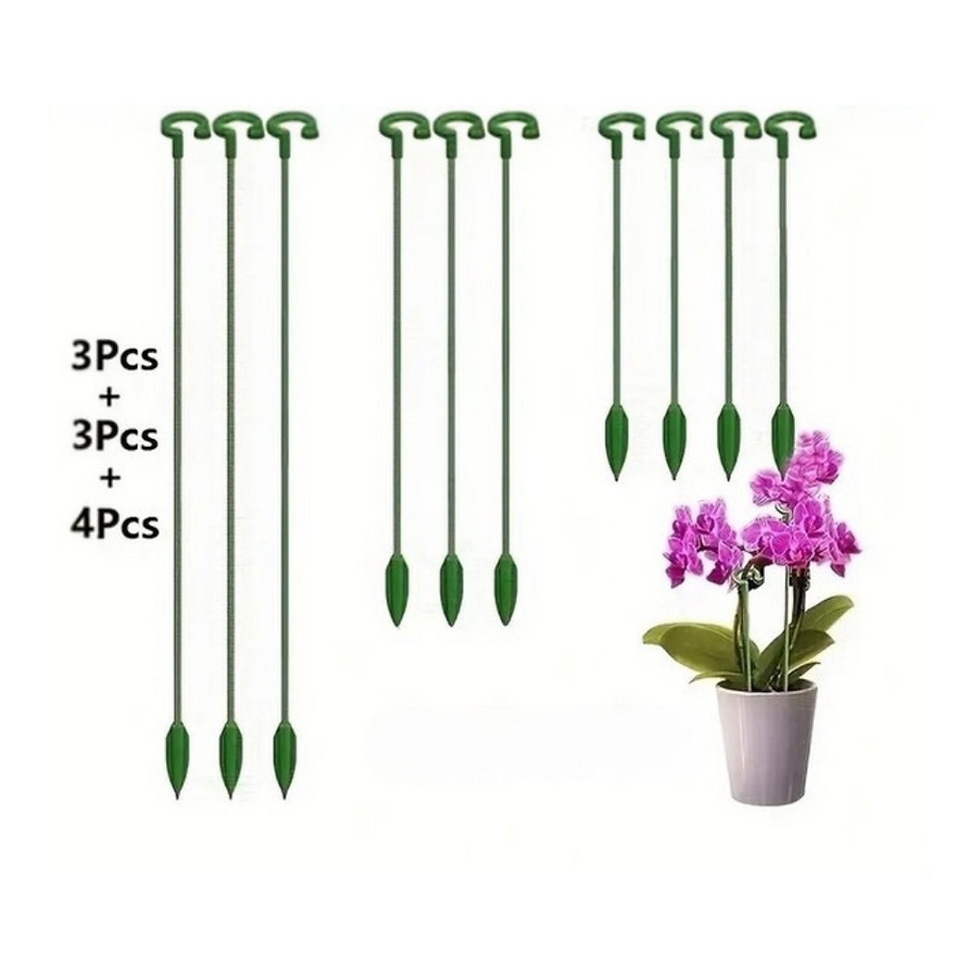 Miniatura: Soporte para plantas