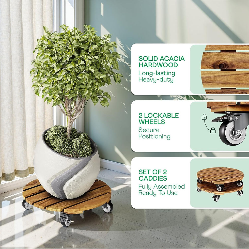 Miniatura: Base rodante para plantas - 2 pack