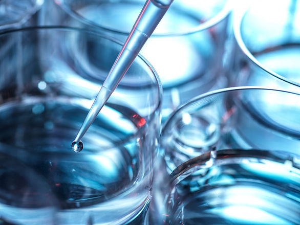 petri-dish-and-pipette-2024-07-05-03-12-25-utc.jpg