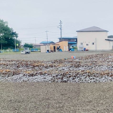 日本本土最東端で歴史と今を知る――地球探索鉄道号で行く根室市納沙布岬