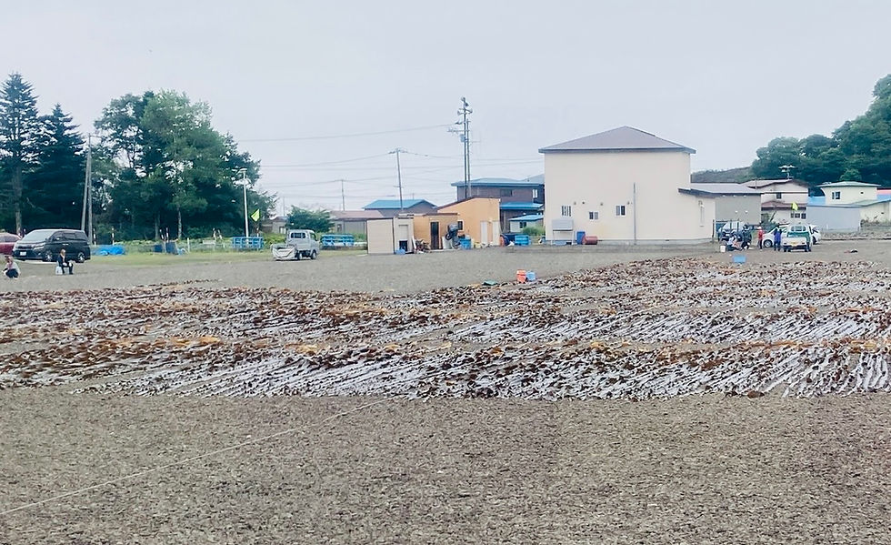 日本本土最東端で歴史と今を知る――地球探索鉄道号で行く根室市納沙布岬