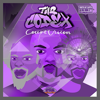 Court Vision.png