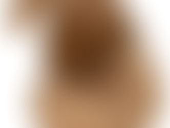 Mailers as Protective Packaging