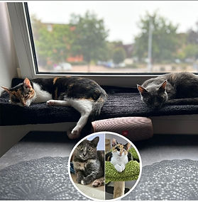 SONJA i SANJA (Ž+Ž)