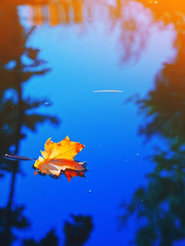The Magic of September